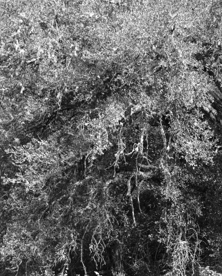 growing structures
