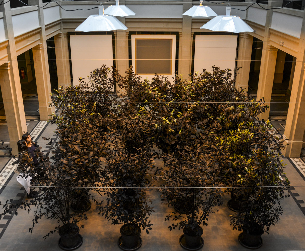 Andrew Dadson, "Painted Plants", 2015